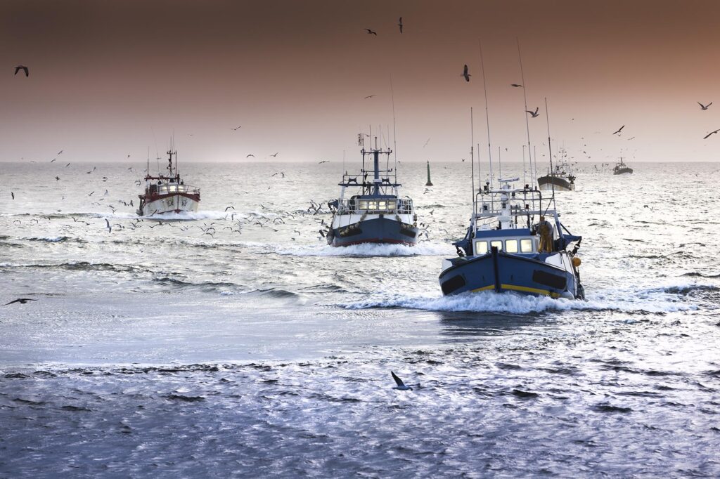 A fleet of fishing vessels sailing back to port